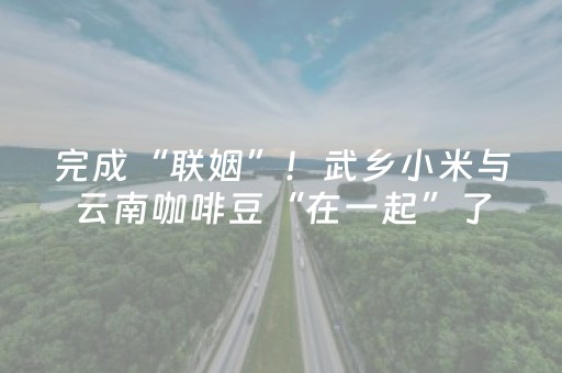 超绝软件佳作!天天贵阳麻将插件购买(确实是有挂)