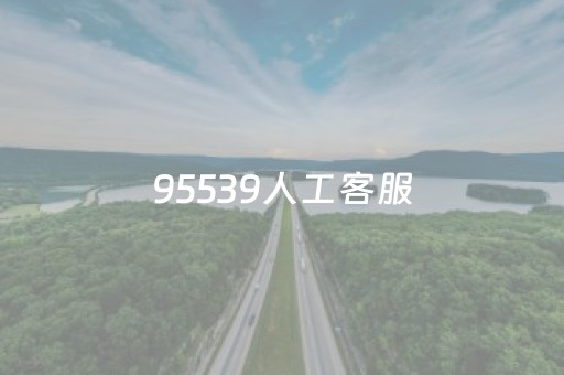 95539人工客服（95539人工客服电话文明用语）