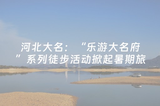 神器真的牛掰!微乐江西麻将软挂神器(专用神器下载)