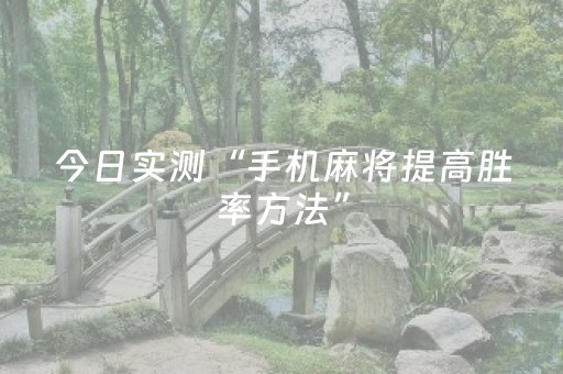 今日实测“手机麻将提高胜率方法”（详细辅助教程）-哔哩哔哩