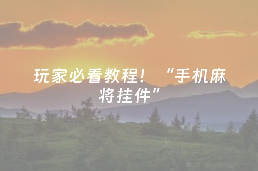 玩家必看教程！“手机麻将挂件”（详细透视教程）-哔哩哔哩