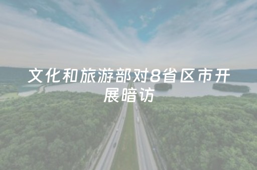 文化和旅游部对8省区市开展暗访，发现这些问题→