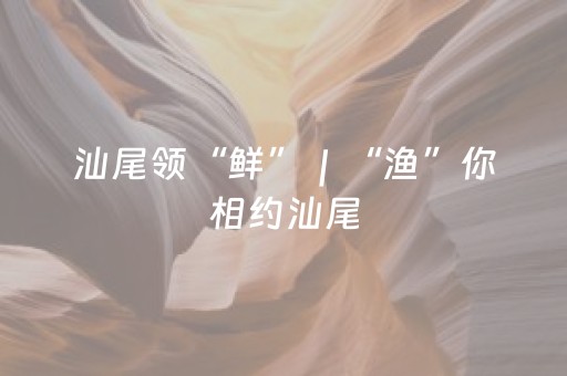 汕尾领“鲜”｜“渔”你相约汕尾，除了吃鱼还有什么玩？