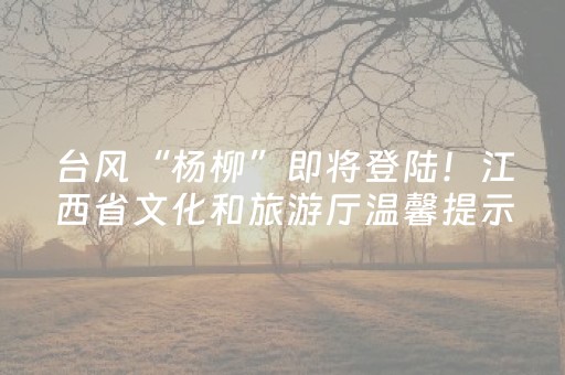 台风“杨柳”即将登陆！江西省文化和旅游厅温馨提示