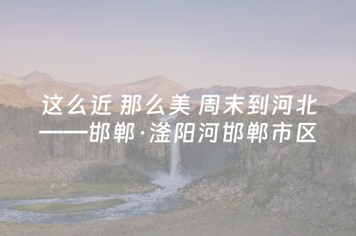神器实力出圈!白金岛跑胡子到底是不是有挂(怎么让系统发好牌)
