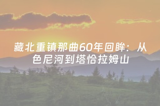 超炫软件神器!微乐甘肃麻将插件(怎么拿到好牌)