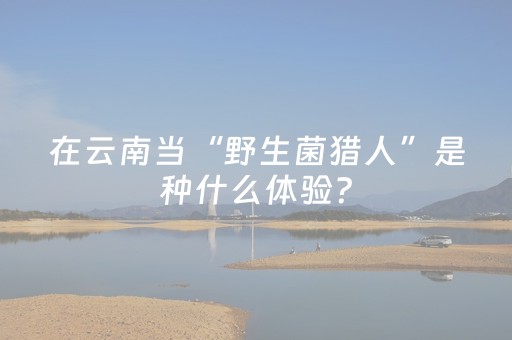 神器堪称传奇!老友圈手机麻将有挂技巧辅助(如何提高胡牌率)