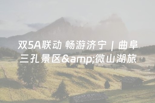 神器堪称传奇!微信小程序麻将插件免费(怎样增加胜率)