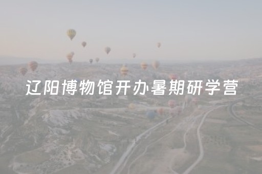 辽阳博物馆开办暑期研学营