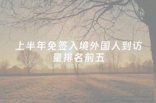 上半年免签入境外国人到访量排名前五，越来越多入境人员选择从成都中转 促免签流量转化为消费增量