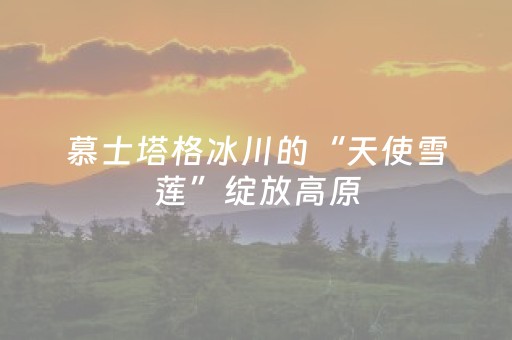 超厉害的软件!浙江游戏大厅骗局大揭秘(透明挂辅助器)