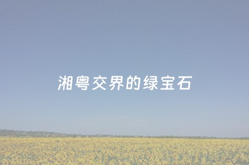 超炫软件神器哦!微信斗牛专用神器(辅助器通用版)