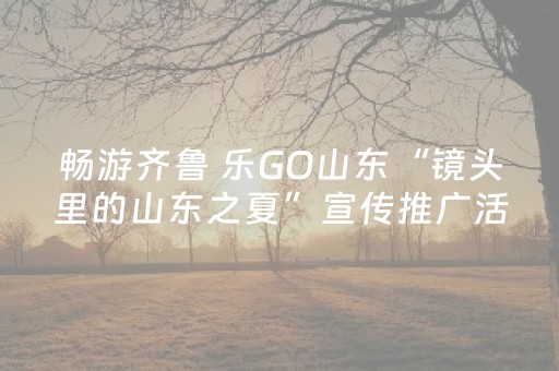 软件神器超棒!微乐陕西麻将插件免费(怎么才有赢的几率)