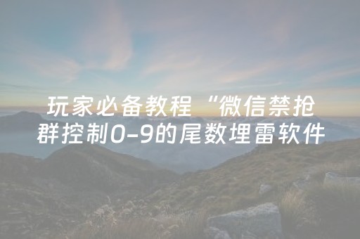 玩家必备教程“微信禁抢群控制0-9的尾数埋雷软件”（详细透视教程）-哔哩哔哩