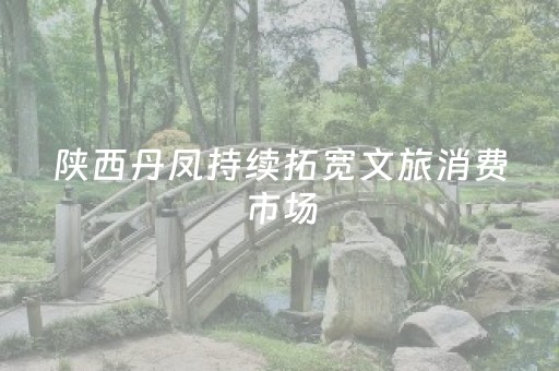 陕西丹凤持续拓宽文旅消费市场