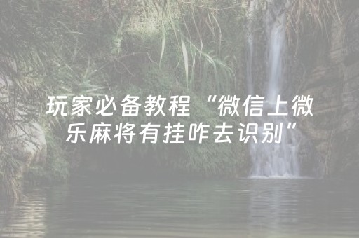 玩家必备教程“微信上微乐麻将有挂咋去识别”（详细透视教程）-哔哩哔哩