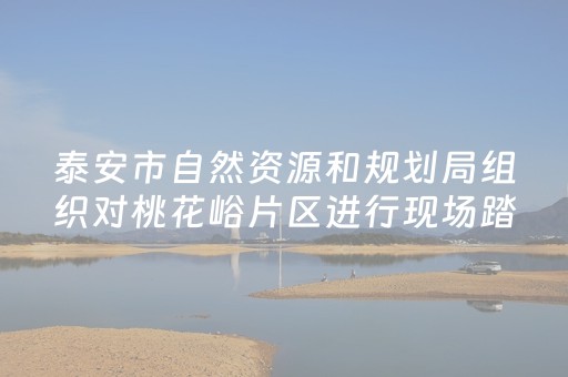 泰安市自然资源和规划局组织对桃花峪片区进行现场踏勘调研
