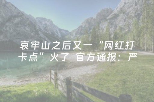 软件神器妙绝!微乐跑得快怎么调胜率(怎样能抓到好牌)