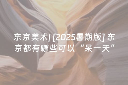 超牛软件神器哟!微乐辽宁麻将挂件神器(辅助器通用版)