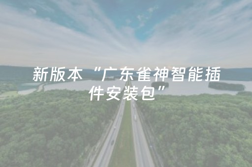 新版本“广东雀神智能插件安装包”（详细透视教程）-哔哩哔哩