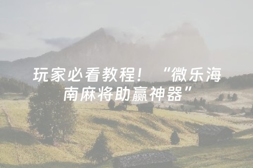 玩家必看教程！“微乐海南麻将助赢神器”（详细辅助教程）-哔哩哔哩