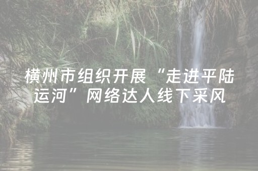 软件神器超猛!顺欣茶楼确实是有挂(透明器教程)