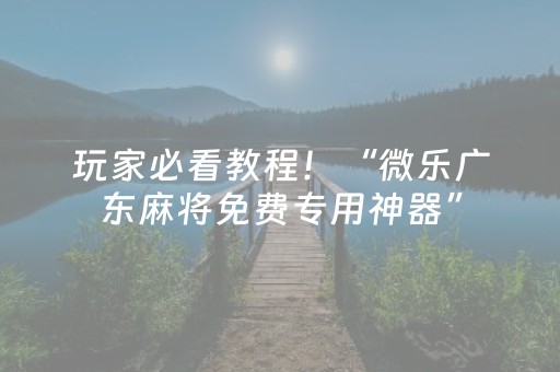 玩家必看教程！“微乐广东麻将免费专用神器”（详细开挂教程）-哔哩哔哩