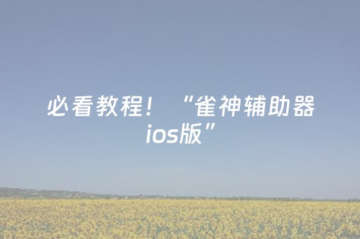 必看教程！“雀神辅助器ios版”（详细辅助教程）-哔哩哔哩