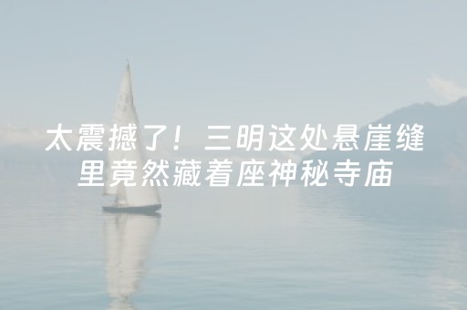 超炫软件工具!微乐河南跑得快记牌器(怎么一直输)