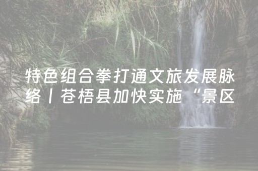 特色组合拳打通文旅发展脉络丨苍梧县加快实施“景区焕新”工程