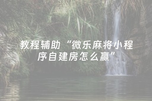 教程辅助“微乐麻将小程序自建房怎么赢”（详细透视教程）-哔哩哔哩