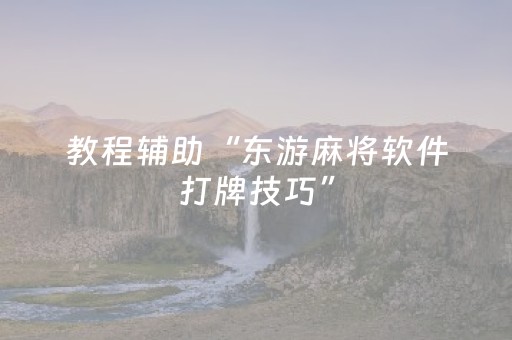 教程辅助“东游麻将软件打牌技巧”（详细透视教程）-哔哩哔哩