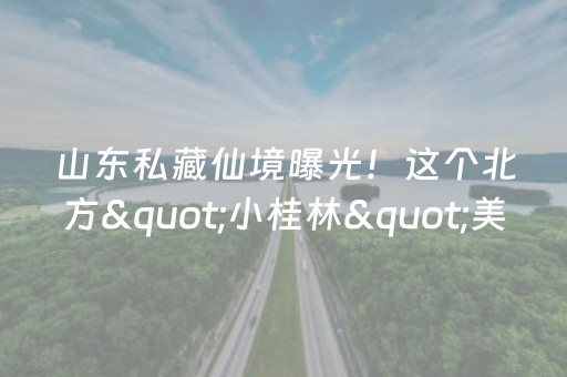 神器堪称一绝!微乐江苏麻将专用神器(真的有挂)