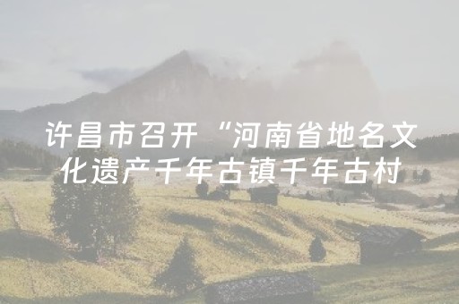 许昌市召开“河南省地名文化遗产千年古镇千年古村落”专家论证评审会议