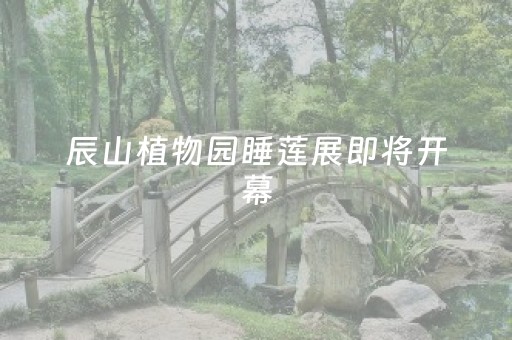 这软件超好用!微信打牌小程序能不能开挂(怎么才有赢的几率)