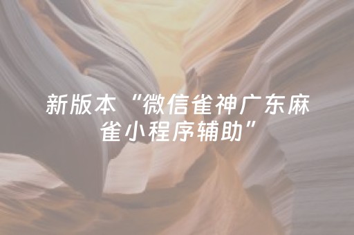 新版本“微信雀神广东麻雀小程序辅助”（详细透视教程）-哔哩哔哩