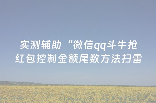 实测辅助“微信qq斗牛抢红包控制金额尾数方法扫雷”（详细透视教程）-哔哩哔哩