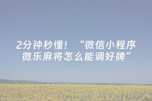 2分钟秒懂！“微信小程序微乐麻将怎么能调好牌”（详细辅助教程）-哔哩哔哩