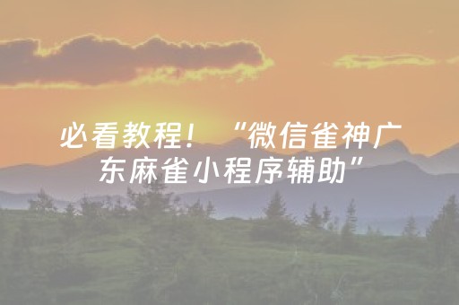 必看教程！“微信雀神广东麻雀小程序辅助”（详细辅助教程）-哔哩哔哩