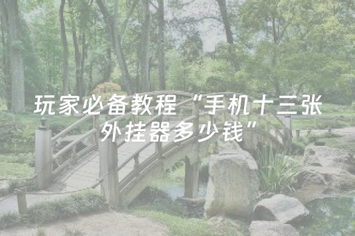 玩家必备教程“手机十三张外挂器多少钱”（详细透视教程）-哔哩哔哩