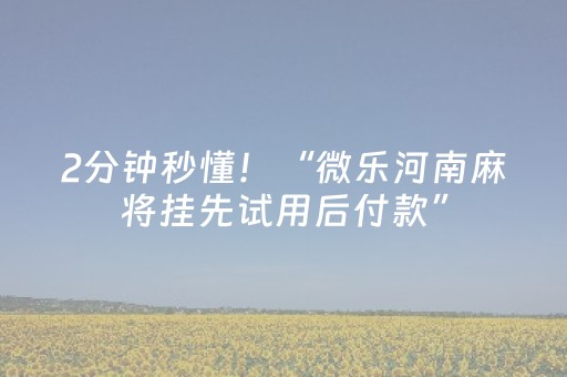 2分钟秒懂！“微乐河南麻将挂先试用后付款”（详细辅助教程）-哔哩哔哩