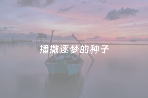 神器使用超赞!手机牌九辅助器(其实是有挂的)