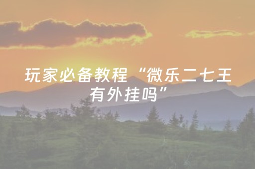 玩家必备教程“微乐二七王有外挂吗”（详细透视教程）-哔哩哔哩