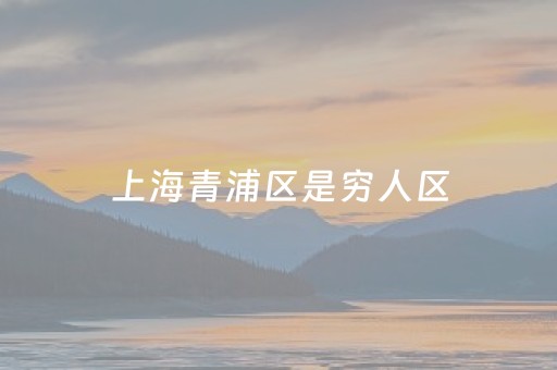 上海青浦区是穷人区（上海市青浦区有钱吗）