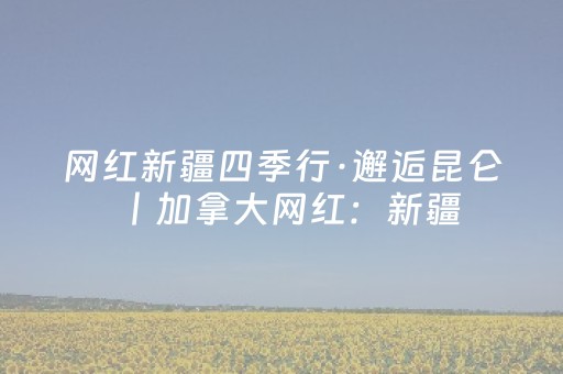这软件太神了!白金岛三打哈辅助工具(怎样才能赢)