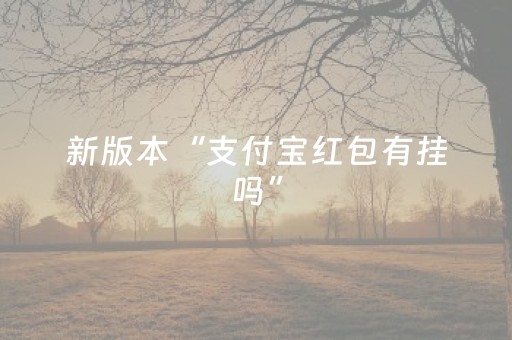 新版本“支付宝红包有挂吗”（详细透视教程）-哔哩哔哩