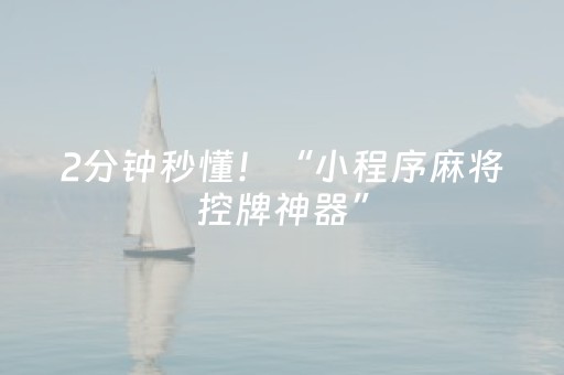 2分钟秒懂！“小程序麻将控牌神器”（详细透视教程）-哔哩哔哩