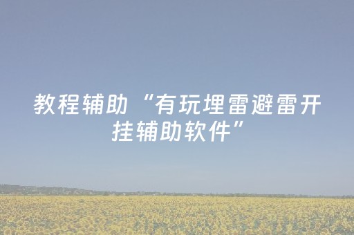 教程辅助“有玩埋雷避雷开挂辅助软件”（详细透视教程）-哔哩哔哩