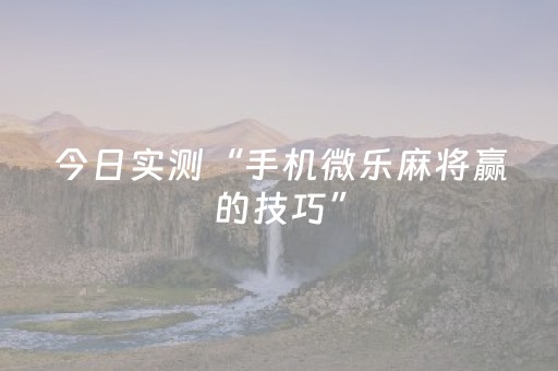今日实测“手机微乐麻将赢的技巧”（详细透视教程）-哔哩哔哩