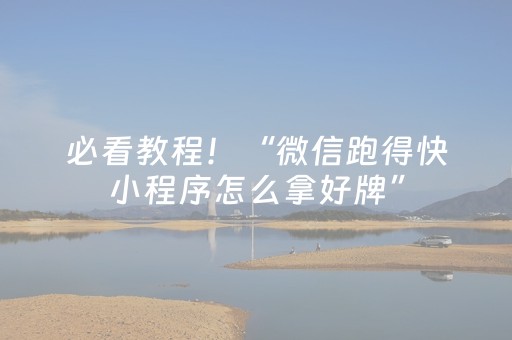 必看教程！“微信跑得快小程序怎么拿好牌”（详细辅助教程）-哔哩哔哩